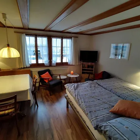 Baernermutz # 1 By Interhome Apartment